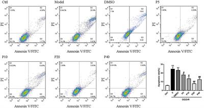 Corrigendum: Propofol Alleviates DNA Damage Induced by Oxygen Glucose Deprivation and Reperfusion via FoxO1 Nuclear Translocation in H9c2 Cells